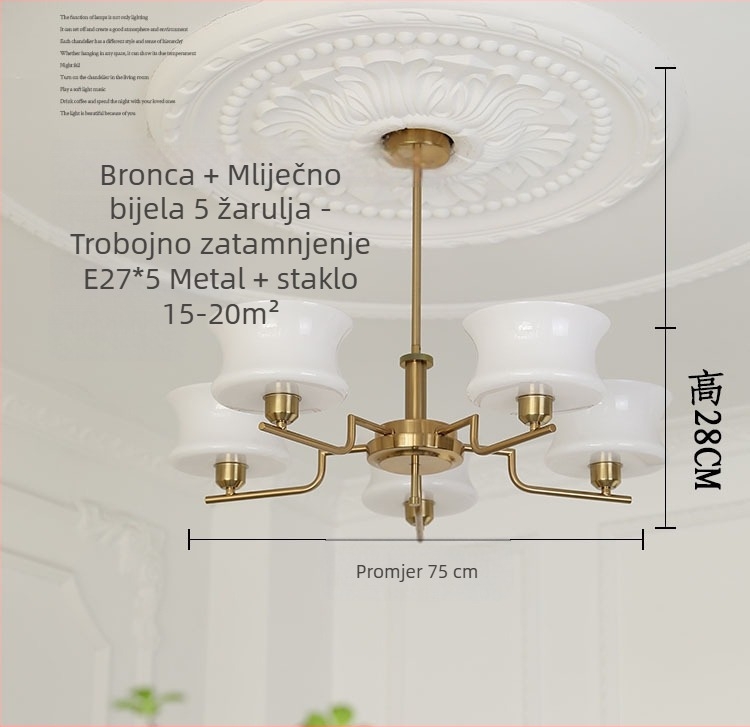 Luster od kovanog željeza u francuskom stilu sa staklenim sjenilom, za dnevni boravak ili spavaću sobu