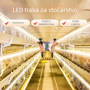 LED traka za farmu, vanjska vodootporna 220V, ultra-sjajno osvjetljenje za kokošinjce i plastenike