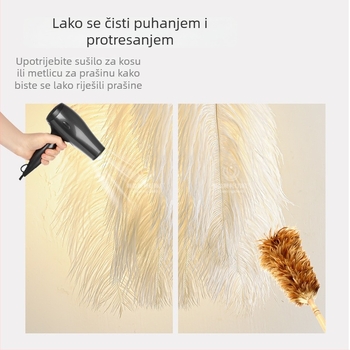 Nordijska zidna svjetiljka s perjem – moderan minimalistički dizajn za spavaću sobu, radnu sobu, uz krevet, hodnik i dnevni boravak.