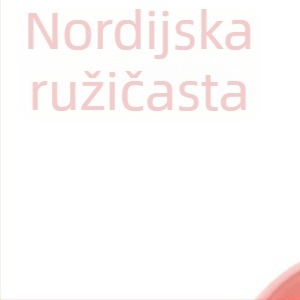 Mini set za čišćenje radnog stola s četkicom za tipkovnicu i malom lopaticom za prašinu
