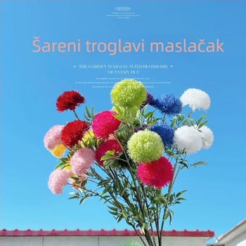 3 borova čunja, Colorful Dandelion vjenčane dekoracije, moderni zidni pozadina, kućna dekoracija, umjetni cvjetovi, vjenčane dekoracije