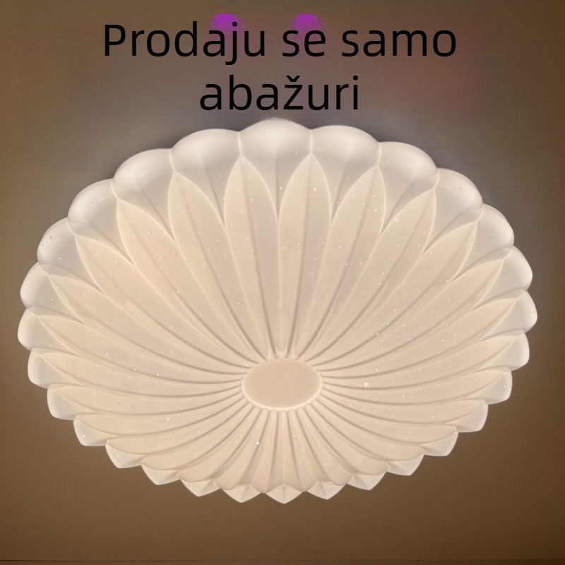 Kućište sjenila s jednim akrilnim pločom, univerzalno stropno LED svjetlo, okruglo, spavaća soba, prozirni plastični panel