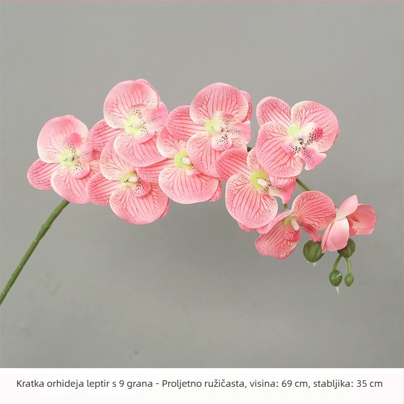 Bijeli buket od satnih cvjetova Phalaenopsis za kućnu dekoraciju