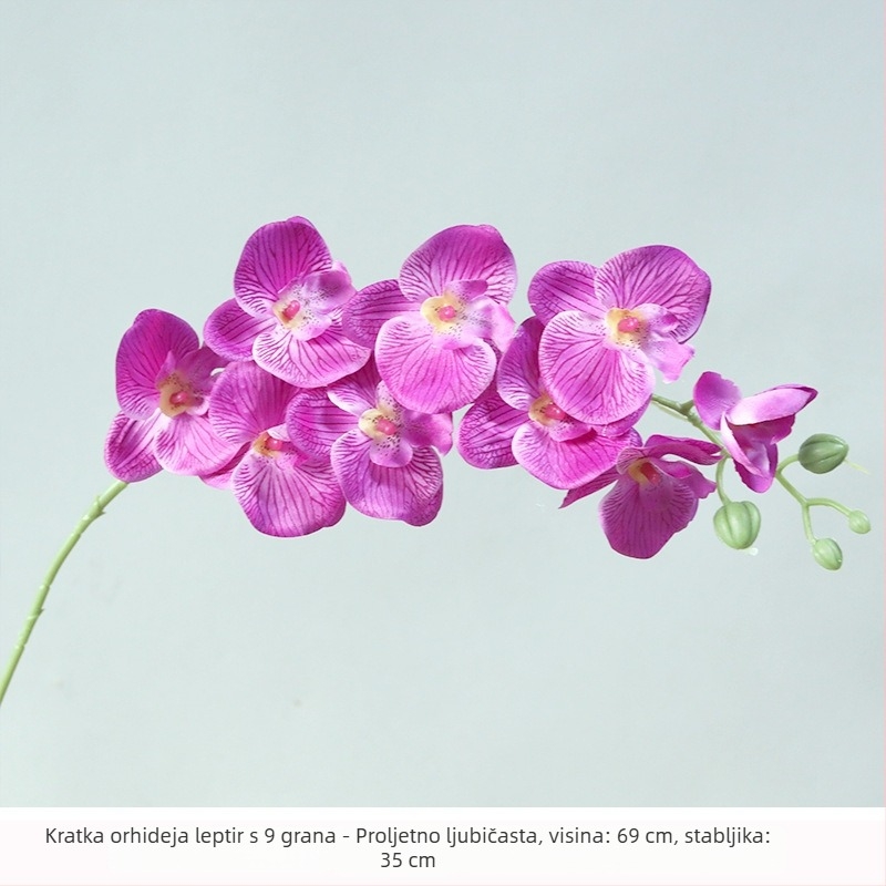 Bijeli buket od satnih cvjetova Phalaenopsis za kućnu dekoraciju