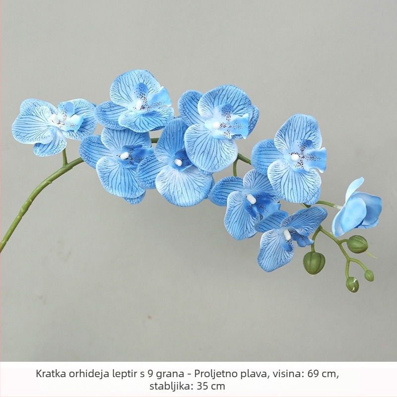 Bijeli buket od satnih cvjetova Phalaenopsis za kućnu dekoraciju