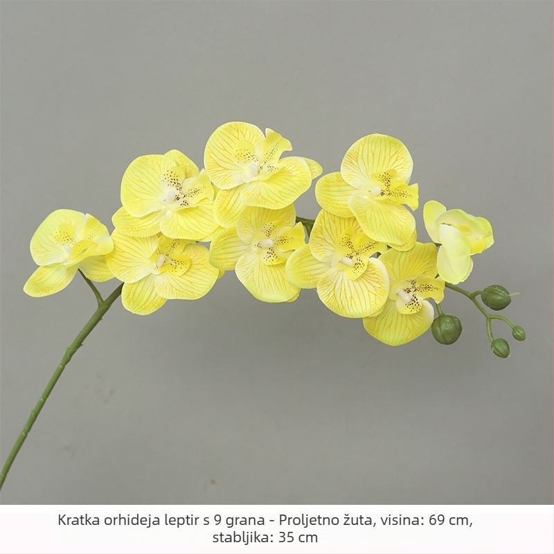 Bijeli buket od satnih cvjetova Phalaenopsis za kućnu dekoraciju