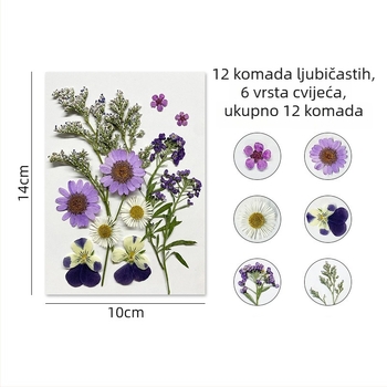 Forget-me-not suhi cvjetovi - paket za presovanje cvjetne umjetnosti, zidnu dekoraciju, vakuumsko pakiranje