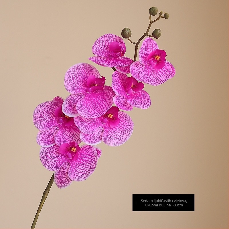 Umetna orhideja Phalaenopsis s mokrim efektom, visokokvalitetnim filmskim premazom, dekoracija za dom i hotelske showroome