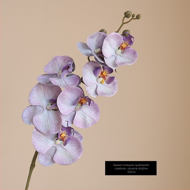 Umetna orhideja Phalaenopsis s mokrim efektom, visokokvalitetnim filmskim premazom, dekoracija za dom i hotelske showroome