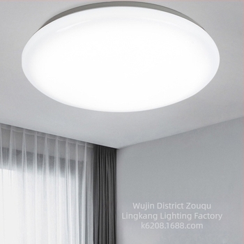 LED stropna svjetiljka, kružnog oblika, minimalistički modern dizajn, za spavaću sobu i dnevni boravak, 24W