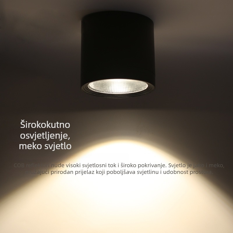 Vodootporno vanjsko LED COB svjetlo s površinskom montažom, pogodna za izloge trgovina, balkone, terase i hotelske nadstrešnice