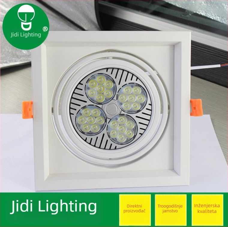 Visokousnosni kvadratni LED downlight s bijelim kućištem i PAR30 držačem lampe