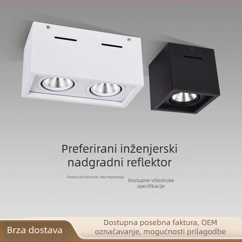 LED površinski montirani spot svjetiljka, kvadratna, s jednom ili dvjema glavama, stropno downlight za dnevni boravak, s podesivim kutem, COB izvor svjetla.