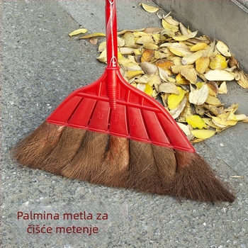 Tradicionalna metla od palme s dugim držačem za kućnu, vrt i vanjsku upotrebu, set metla i lopatica za prašinu
