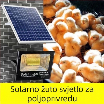 Solarna LED rasvjeta za farmu peradi – ultra-jarko topla rasvjeta za nesilice, energetski štedljiva lampa