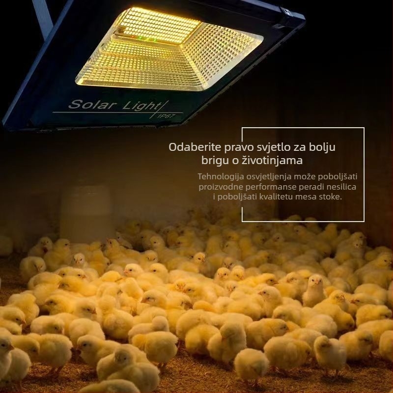 Solarna LED rasvjeta za farmu peradi – ultra-jarko topla rasvjeta za nesilice, energetski štedljiva lampa