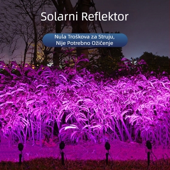 Prilagođeni solarni LED reflektor za vanjsku upotrebu, višebojno svjetlo, IP65, 10W, 6V, ugrađeni vrtni reflektor