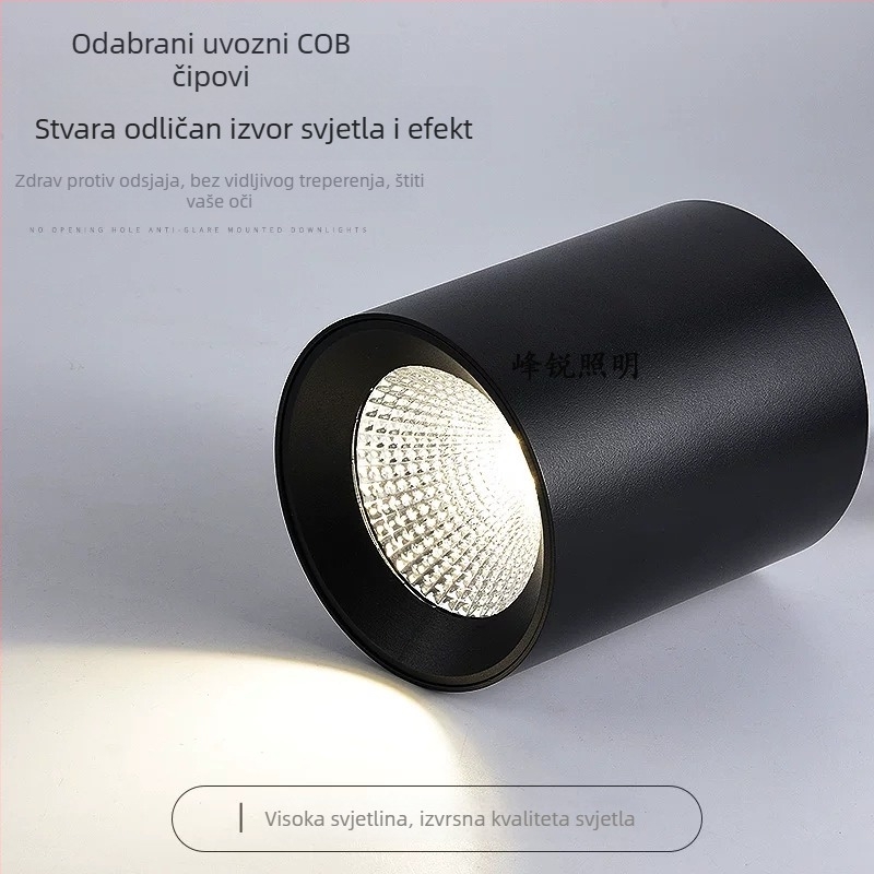 LED površinski montirani cilindrični downlight s COB, viseći štap, 5000K