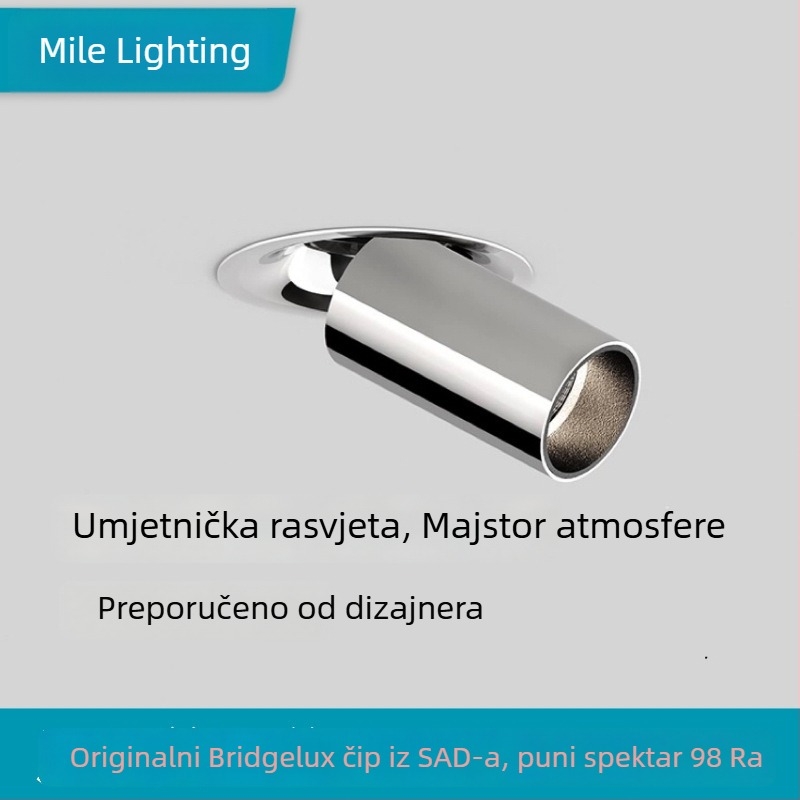 3500K ugrađeni inteligentni reflektor s podesivim kutom, teleskopska LED svjetiljka od nehrđajućeg čelika, Bauhaus elektroplatirana sklopiva lampica