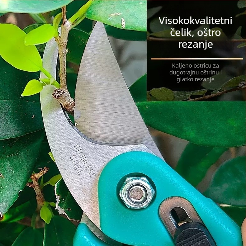 Škarice za rezanje s ptičjim kljunom, škarice za cijepljenje, nehrđajući čelik – zakrivljene škare za rezanje, vrtne škare i škare za rezanje cvijeća