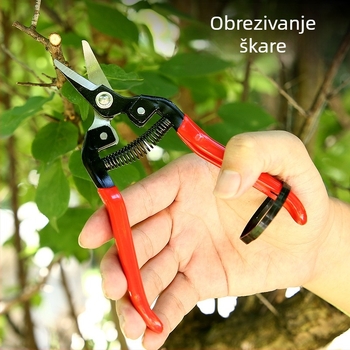 Kratke preklopne škarice za voće s zakrivljenom glavom – za rezanje grana i cvijeća