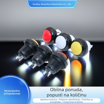 Prilagođeni industrijski prekidač tipke, serija C312W – dugotrajan, vodootporan, direktno priključivanje, dvopolni