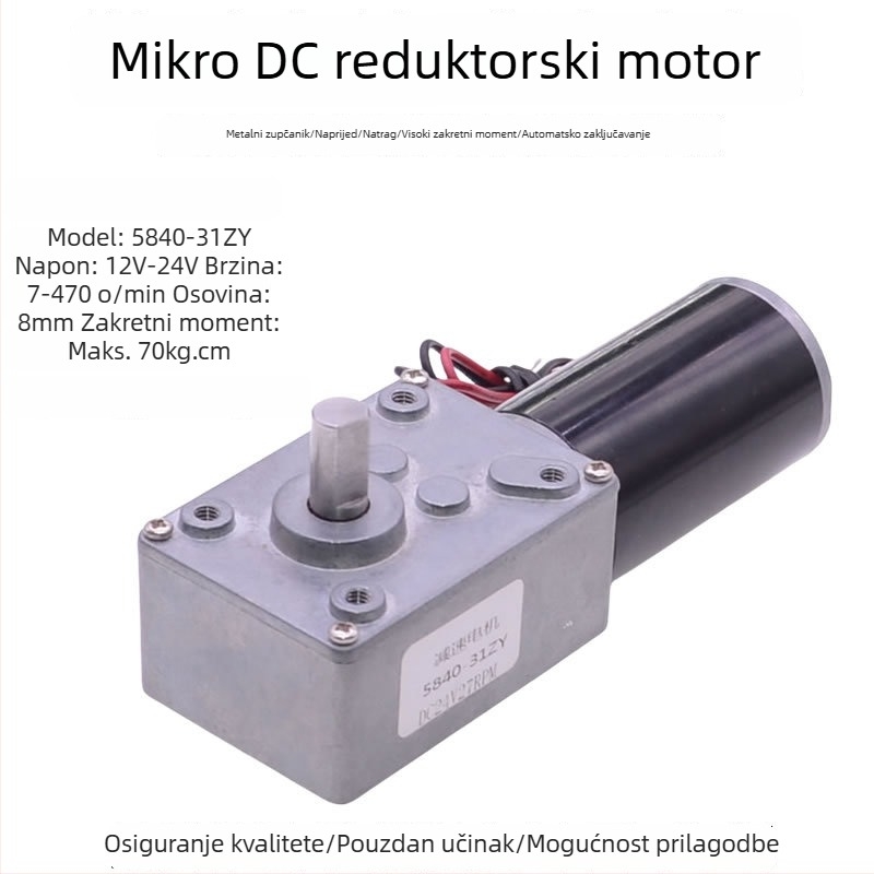 Mikro DC motor s reduktorom, 12-24V, visok okretni moment, pametan sustav za sušenje odjeće i zavjesa, samosblokirajući šnekasti prijenos