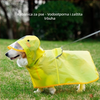 Nepropusni kišni kaput za pse u kačjem stilu, za corgi i dachshund, za male i srednje pse