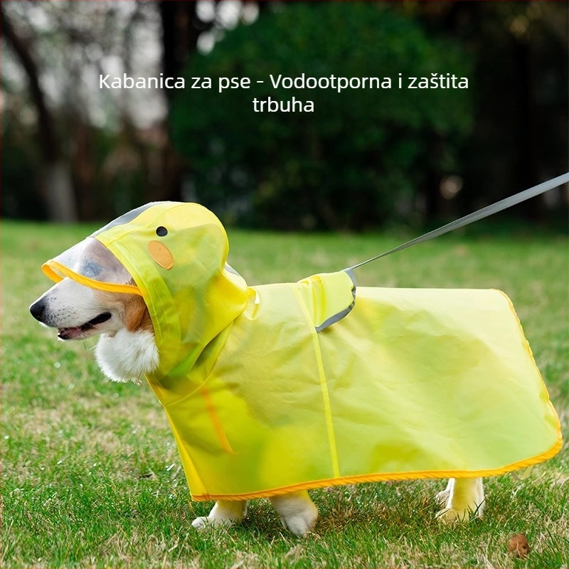 Nepropusni kišni kaput za pse u kačjem stilu, za corgi i dachshund, za male i srednje pse