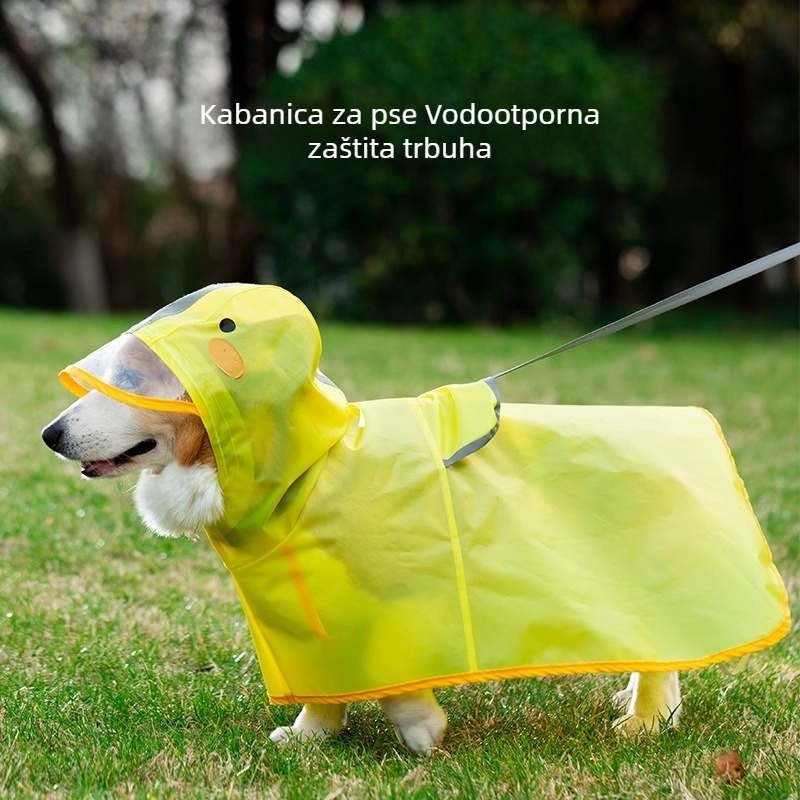 Nepropusni kišni kaput za pse u kačjem stilu, za corgi i dachshund, za male i srednje pse