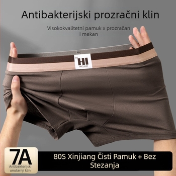 Muške gaćice od 100% pamuka, velike veličine, s otiskom, antibakterijske, prozračne, udoban kroj