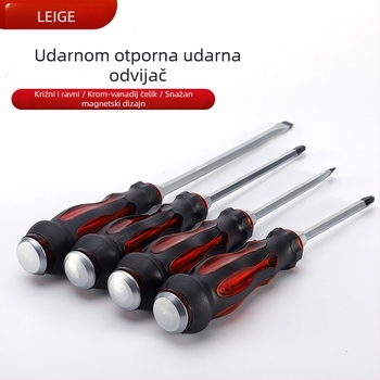 Regt Steel set Phillips i ravnih odvijača, krom-vanadijski čelik, magnetski, protuklizne PVC ručke, 1–8 mm, 175 g