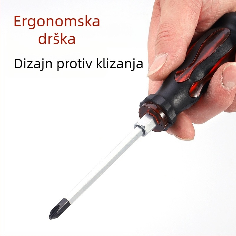 Regt Steel set Phillips i ravnih odvijača, krom-vanadijski čelik, magnetski, protuklizne PVC ručke, 1–8 mm, 175 g