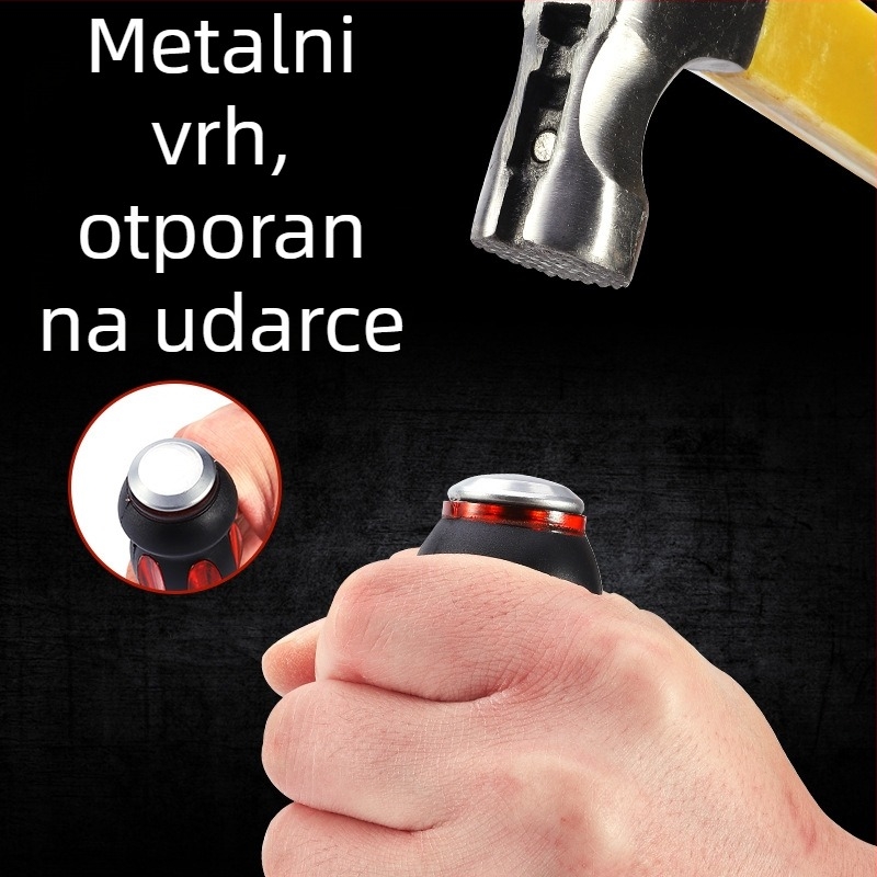 Regt Steel set Phillips i ravnih odvijača, krom-vanadijski čelik, magnetski, protuklizne PVC ručke, 1–8 mm, 175 g