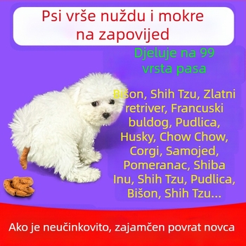 Pomoć za treniranje psa na određeno mjesto za toalet: mokrenje i defekacija