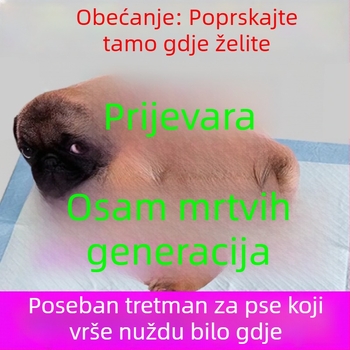 Pomoć za treniranje psa na određeno mjesto za toalet: mokrenje i defekacija