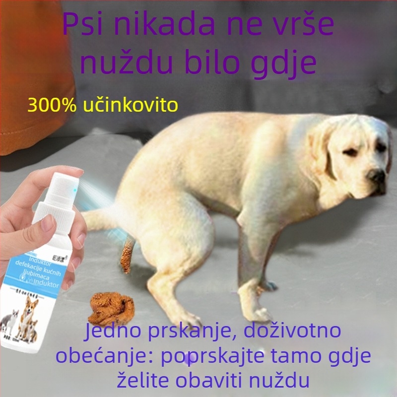 Pomoć za treniranje psa na određeno mjesto za toalet: mokrenje i defekacija