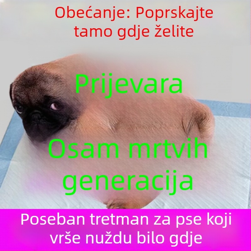Pomoć za treniranje psa na određeno mjesto za toalet: mokrenje i defekacija