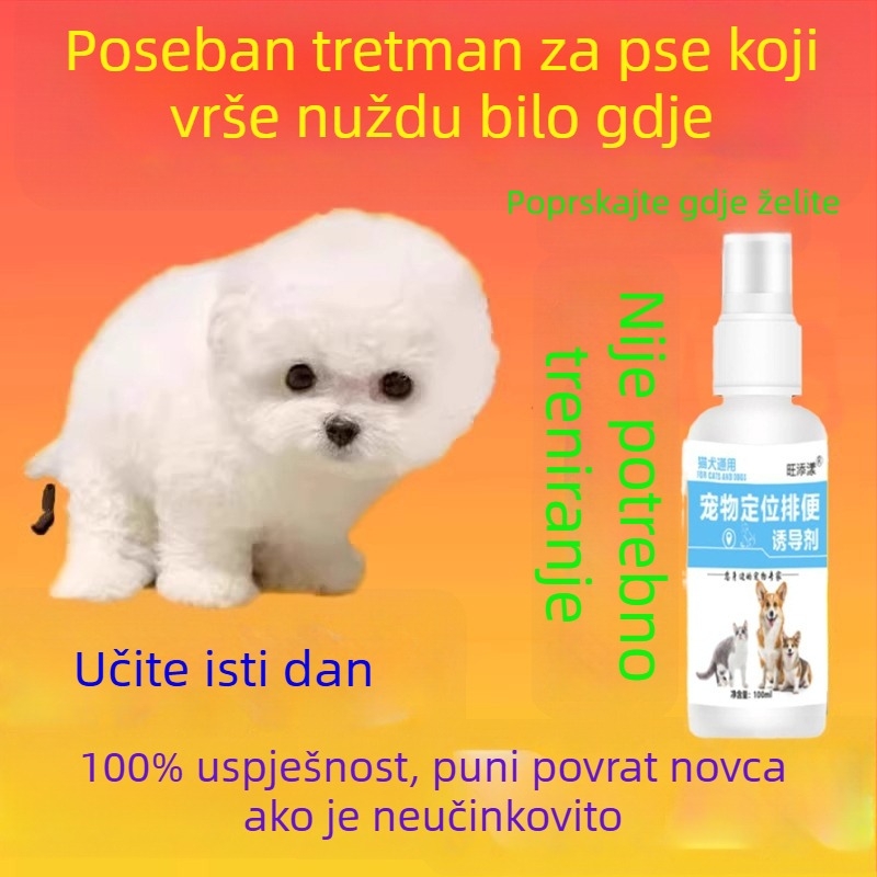 Pomoć za treniranje psa na određeno mjesto za toalet: mokrenje i defekacija