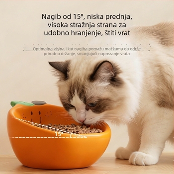 Par keramičkih zdjela za kućne ljubimce s zaštitom vrata, crtić voća dizajn, veliki promjer, zdjele protiv prolijevanja za piće pasa