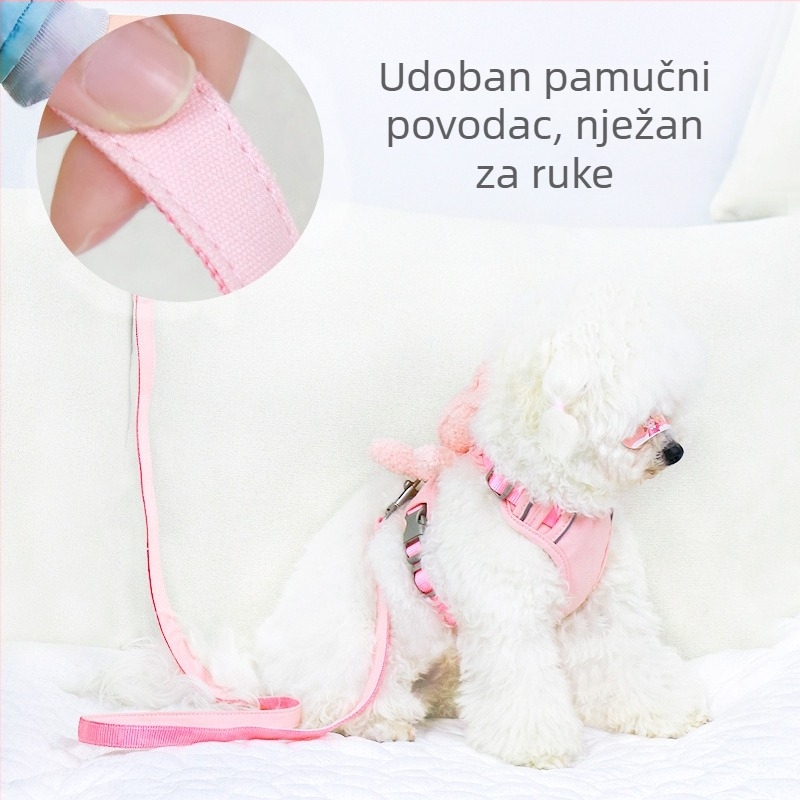 Vest stil postroj za male pse (Teddy/Bichon Frisé) – šetnja s povodcem