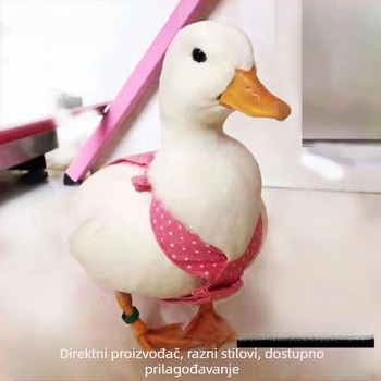 Peleni za kućne ljubimce: patke, guske i kokoši