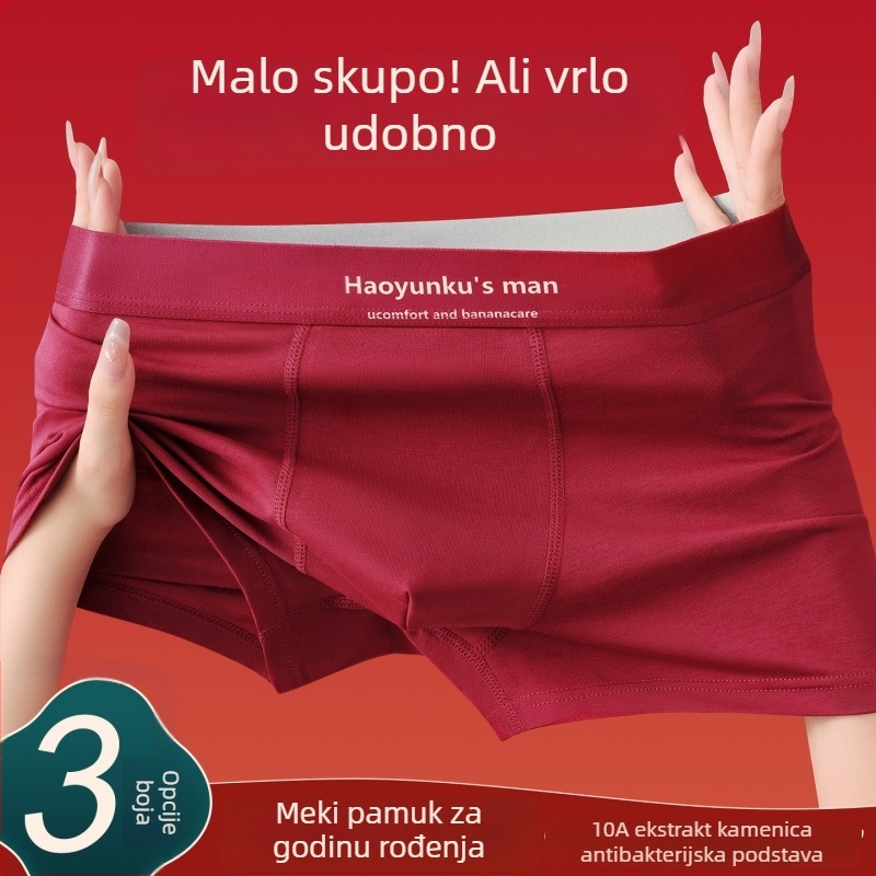 Muške pamučne bokserice, dišuće, za sve sezone, u poklon kutiji