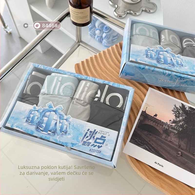 Ljetne vrhunske prozračne mrežaste muške bokserice, Ice Silk materijal, 4 komada