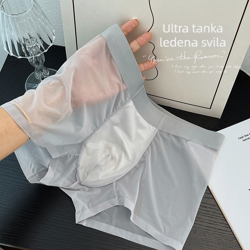 Ljetne ultra tanke bezšivne muške bokserice od Ice Silk, brzo sušeće i prozračne