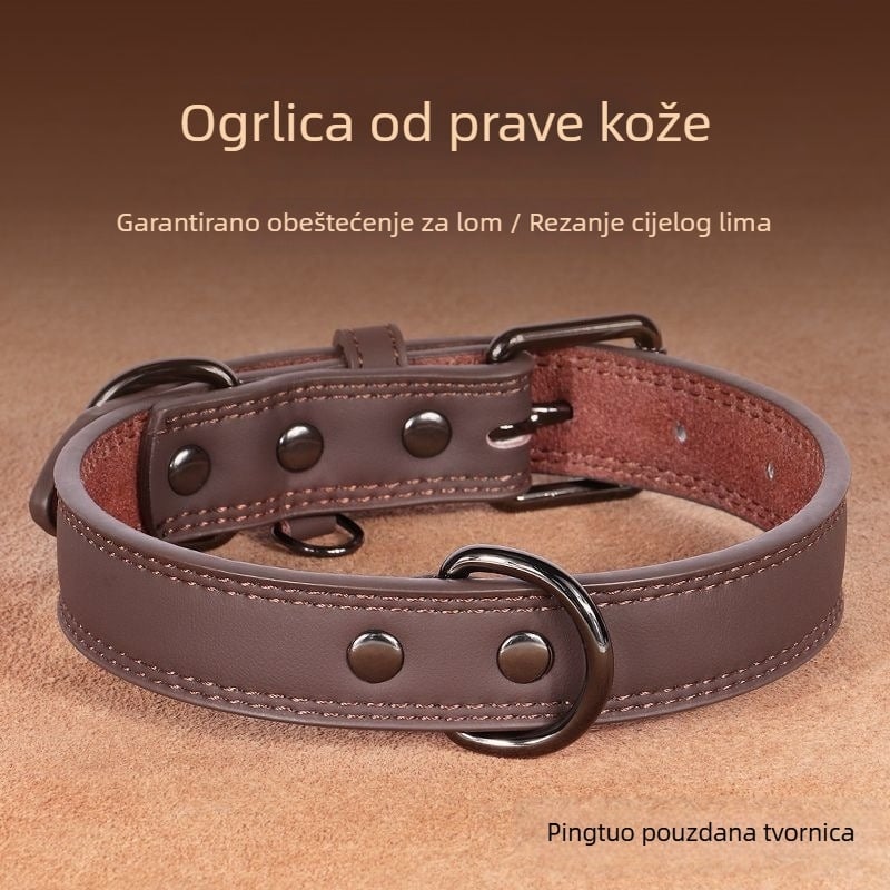 Gravirana pseća ogrlica sa zvoncem i identifikacijskom pločicom, sprječava gubitak, za male, srednje i velike pse