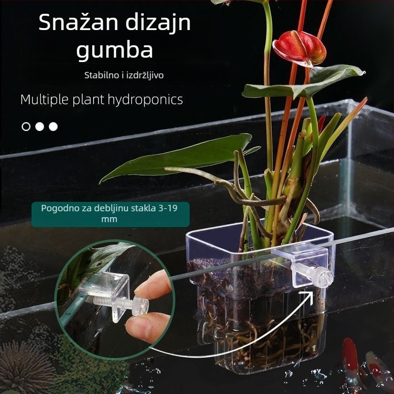 Prozirna zidna košarica za hidroponske biljke u akvariju