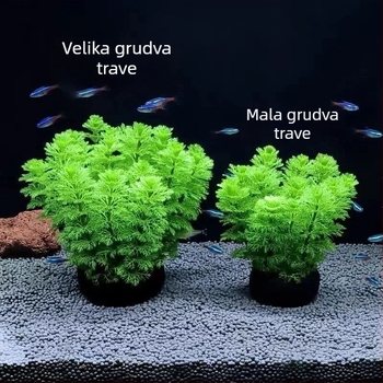 Zeleno vodeno bilje u kugli, oksigenirajuće, za Betta akvarij, dekoracija bez dna šljunka