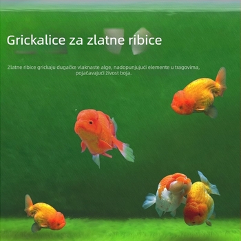 Yee Spore zelenih algi za akvarij, uzgoj dugih dlačastih algi, zelena mah za dizajn akvarija, hrana za zlatne ribice