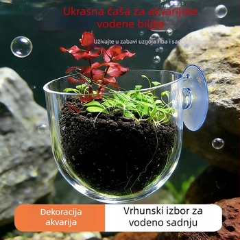 Čaša za akvaskaping za stolni akvarij